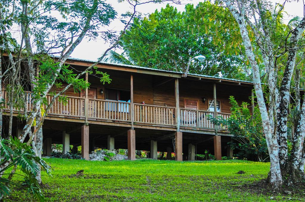The Log Cab-Inn San Ignacio Cameră foto